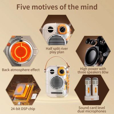 Divoom Spark-Pro Bluetooth Portable Speaker Karaoke Speaker